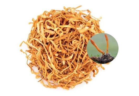 SugaNorm contém cordyceps