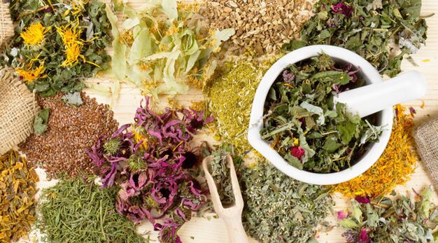 Plantas medicinais que auxiliam no combate ao diabetes